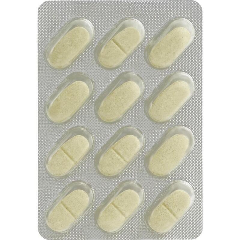 GSE Repair Rapid Acid Tabletten